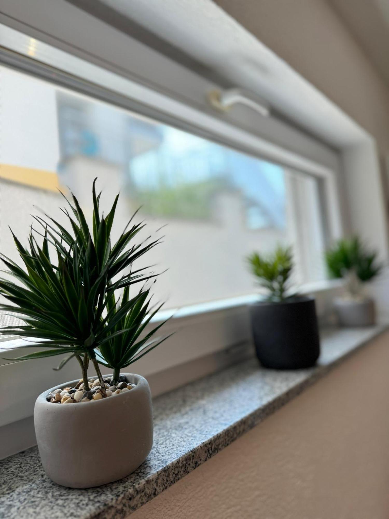 Blossom Apartment Garden View - Klimatisiert FDH Exterior foto